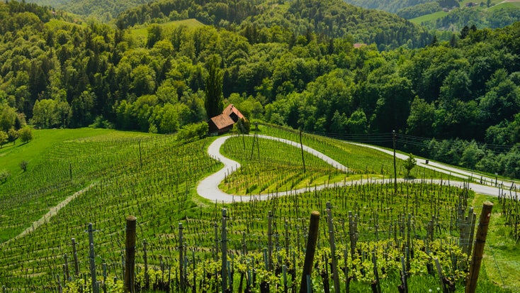 The famous heart-shaped road through the vineyards of Spicnik, Maribor, on Slovenia's northern border with Austria | ©Shutterstock.com