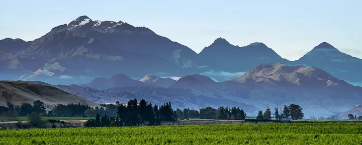 新西兰葡萄酒所有的产区，品种与名庄，都在这里了！